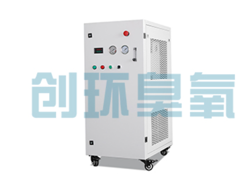 凉山石斑鱼养殖水质调控完整指南：臭氧发生器配置与操作步骤
