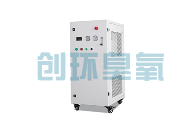凉山比传统换水更高效？臭氧发生器在石斑鱼养殖中的水质净化原理解析